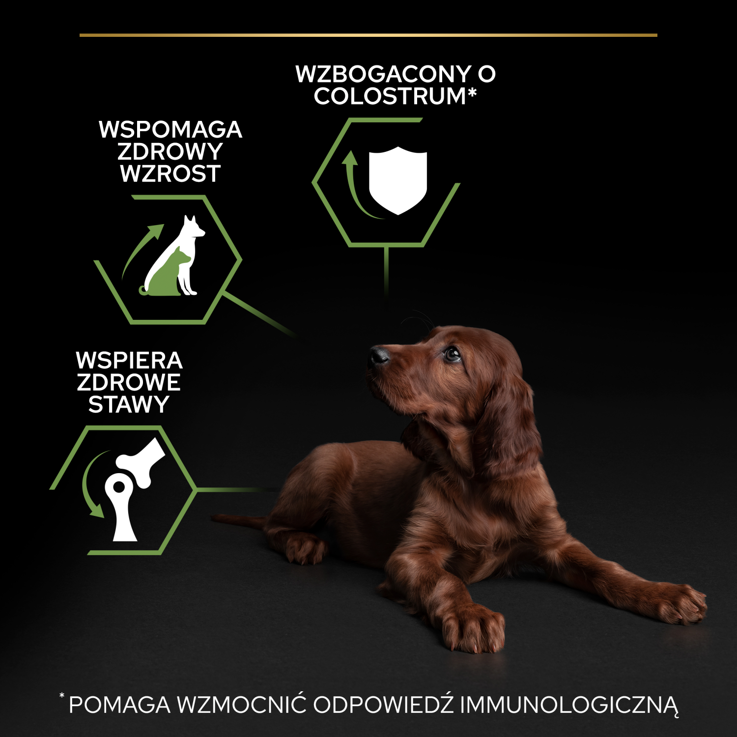 Purina Pro Plan Large Puppy Athletic Optistart Kurczak I Ryż 12kg - zdjęcie 4