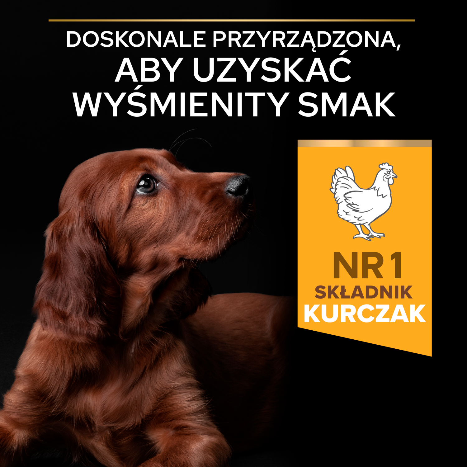 Purina Pro Plan Large Puppy Athletic Optistart Kurczak I Ryż 12kg - zdjęcie 6