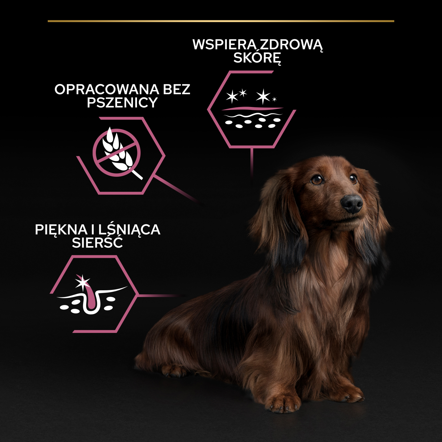 Purina Pro Plan Small & Mini Adult Sensitive Optiderma Łosoś I Ryż 7kg - zdjęcie 10