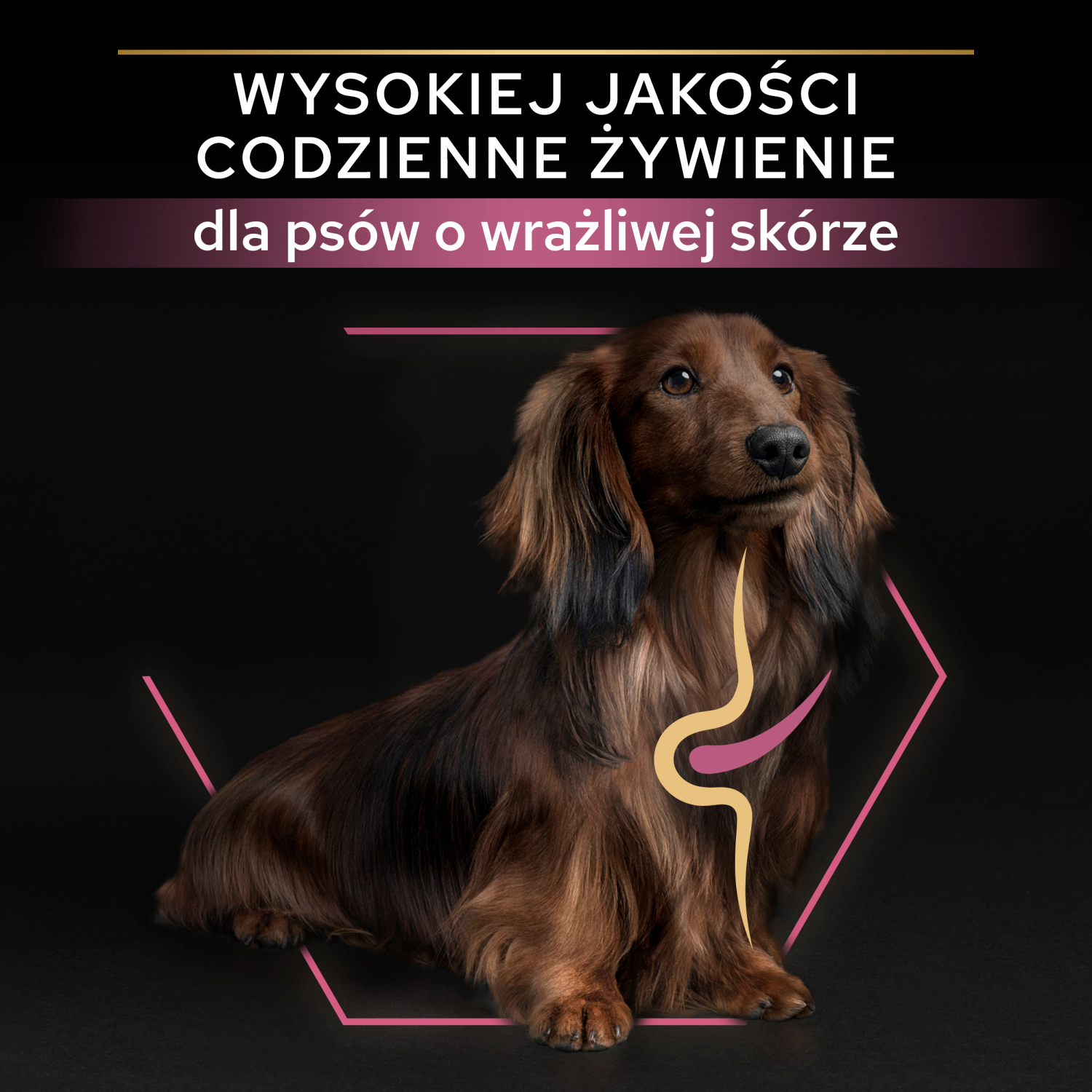 Purina Pro Plan Small & Mini Adult Sensitive Optiderma Łosoś I Ryż 7kg - zdjęcie 9