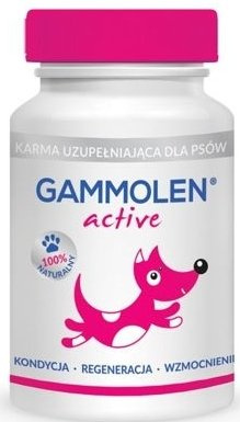 Tymofarm Gammolen Active 90 Tabletek