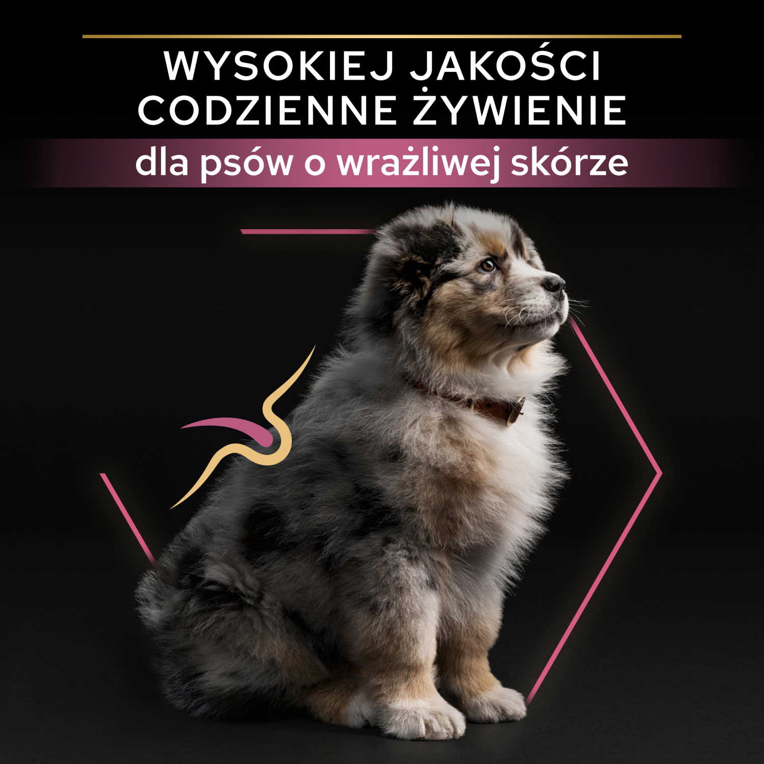Purina Pro Plan Medium Puppy Sensitive Optiderma Łosoś I Ryż 12kg - zdjęcie 4