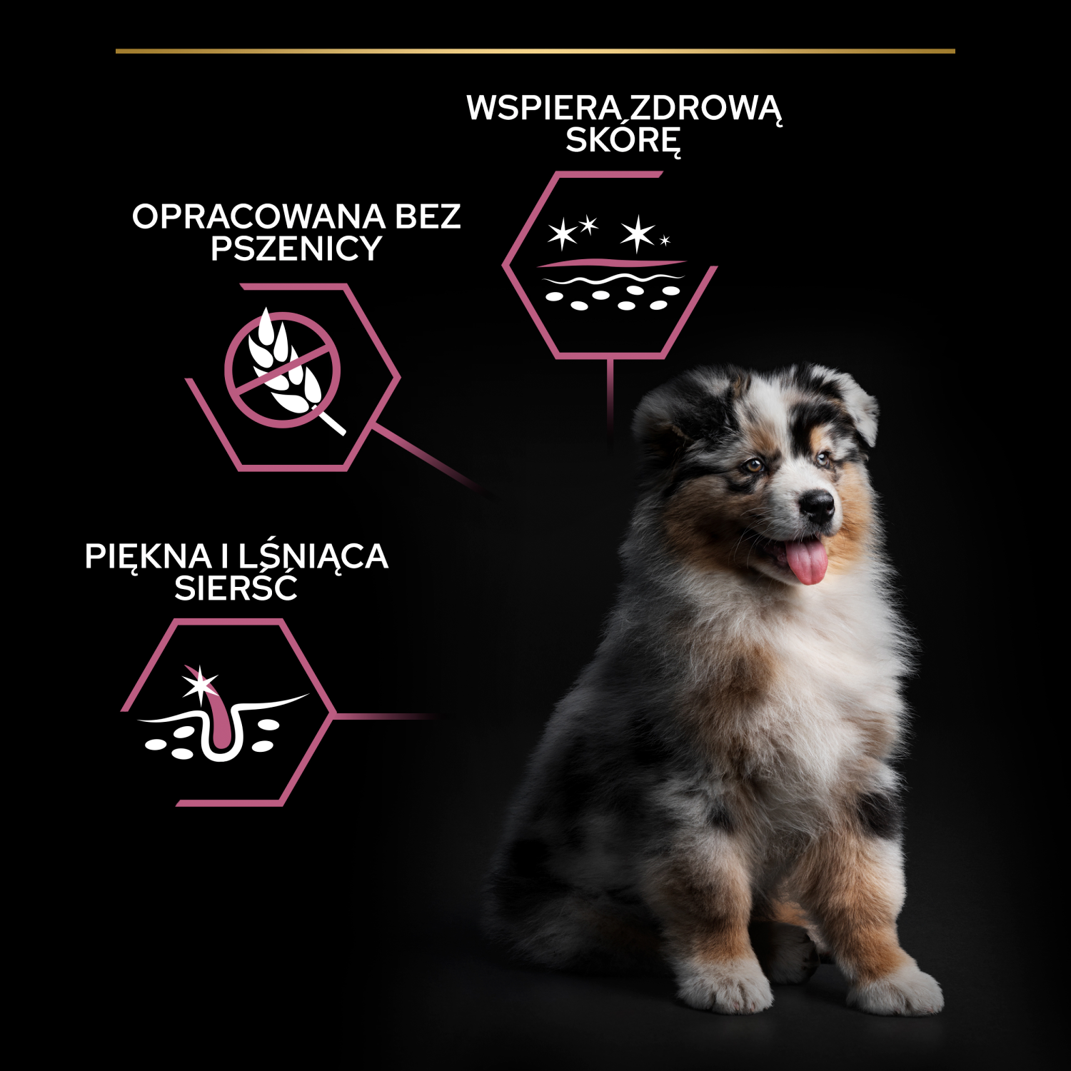 Purina Pro Plan Medium Puppy Sensitive Optiderma Łosoś I Ryż 12kg - zdjęcie 5