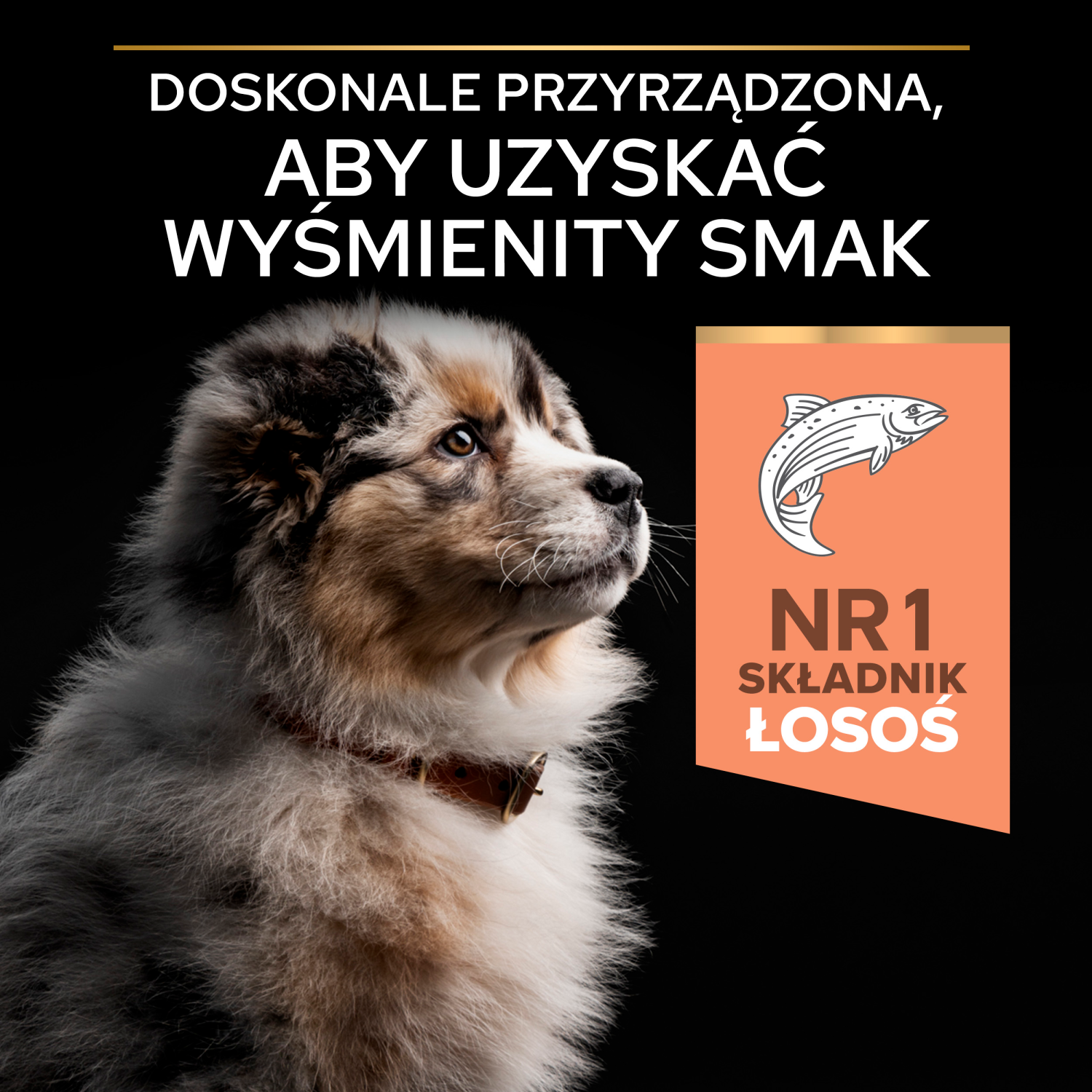 Purina Pro Plan Medium Puppy Sensitive Optiderma Łosoś I Ryż 12kg - zdjęcie 7