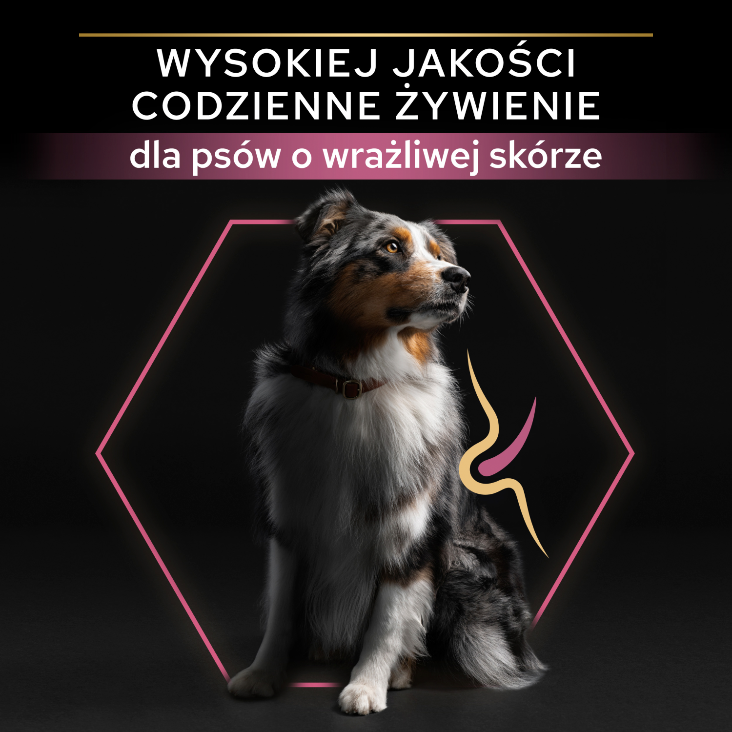 Purina Pro Plan Medium Adult Sensitive Skin Optiderma Łosoś I Ryż 14kg - zdjęcie 3