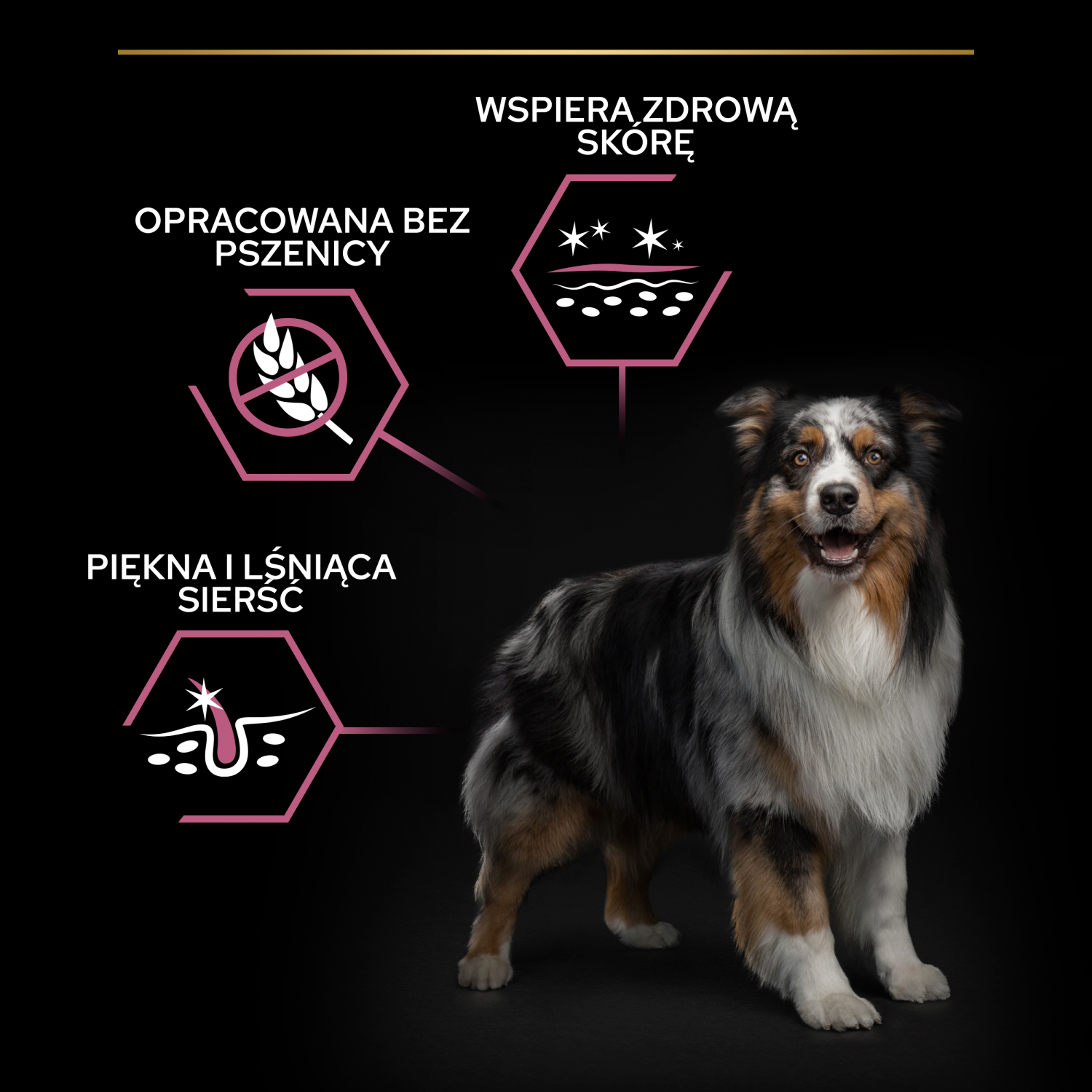 Purina Pro Plan Medium Adult Sensitive Skin Optiderma Łosoś I Ryż 14kg - zdjęcie 4
