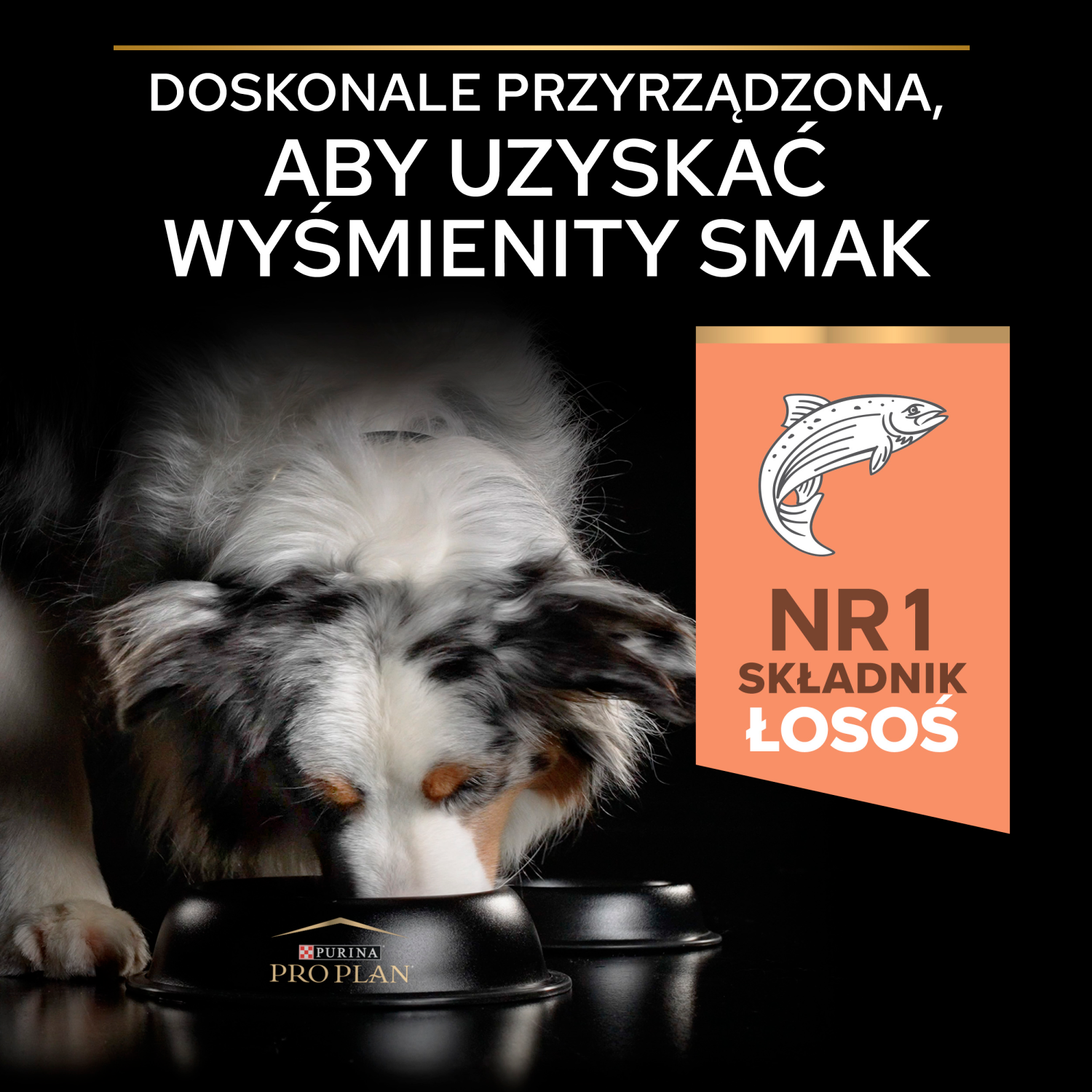 Purina Pro Plan Medium Adult Sensitive Skin Optiderma Łosoś I Ryż 14kg - zdjęcie 6