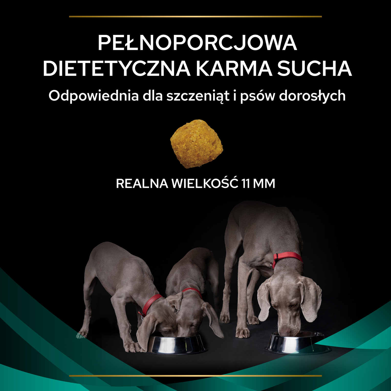 PURINA Pro Plan Veterinary EN Gastrointestinal 1,5kg - zdjęcie 5