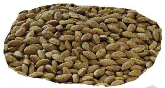 Purina Pro Plan Medium & Large 7+ Sensitive Optiderma Łosoś I Ryż 14kg - zdjęcie 2