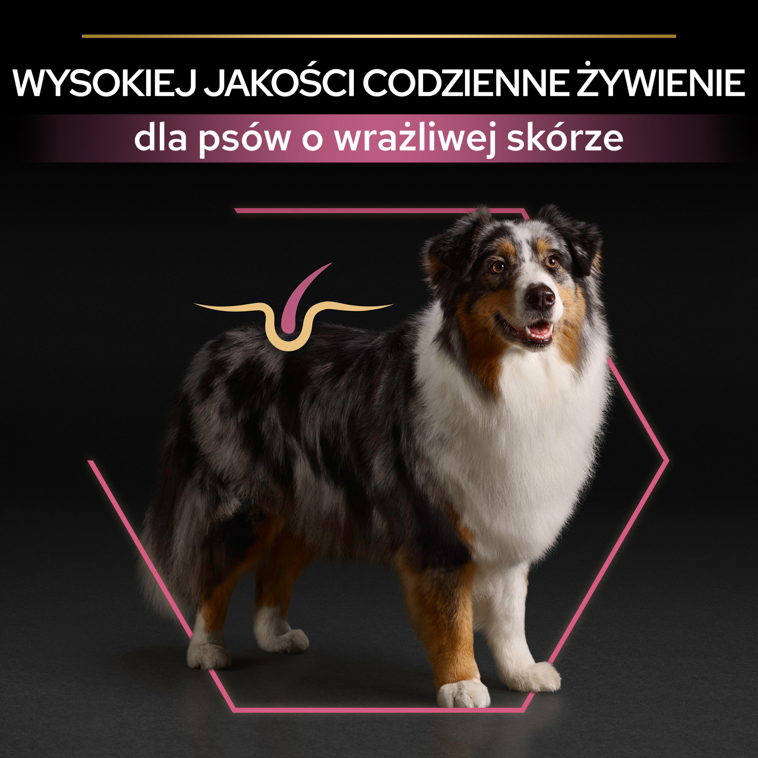 Purina Pro Plan Medium & Large 7+ Sensitive Optiderma Łosoś I Ryż 14kg - zdjęcie 3