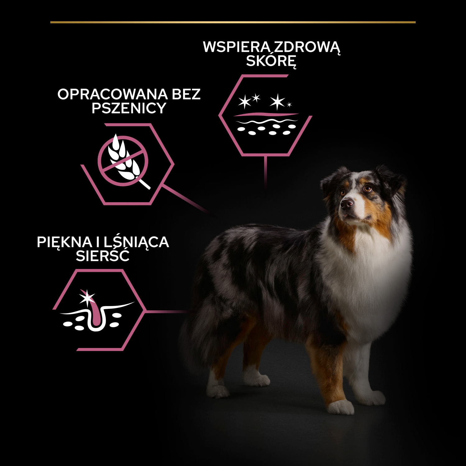Purina Pro Plan Medium & Large 7+ Sensitive Optiderma Łosoś I Ryż 14kg - zdjęcie 4