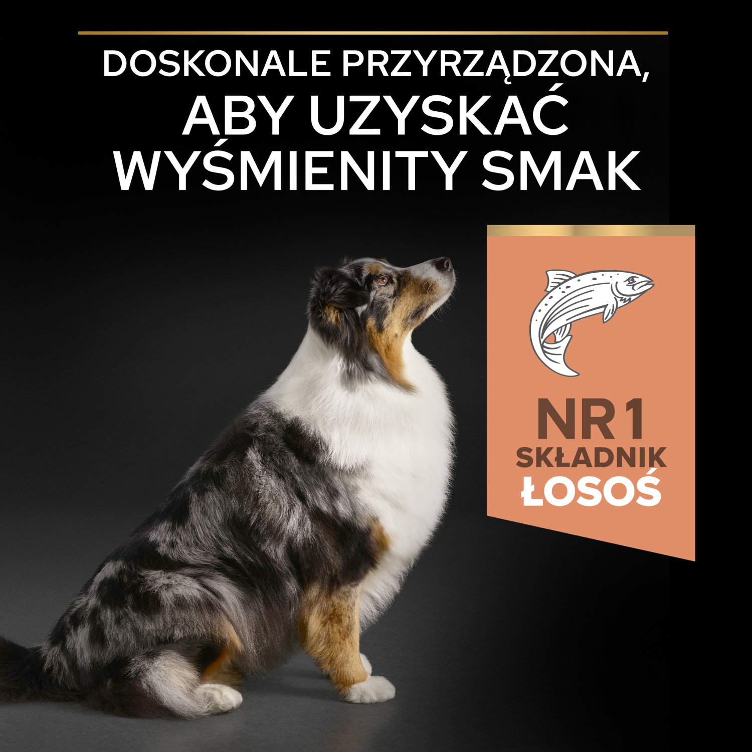 Purina Pro Plan Medium & Large 7+ Sensitive Optiderma Łosoś I Ryż 14kg - zdjęcie 6