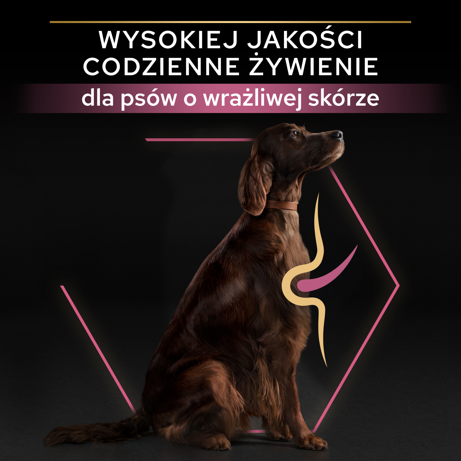 Purina Pro Plan Large Adult Athletic Optiderma Łosoś I Ryż 14kg - zdjęcie 2