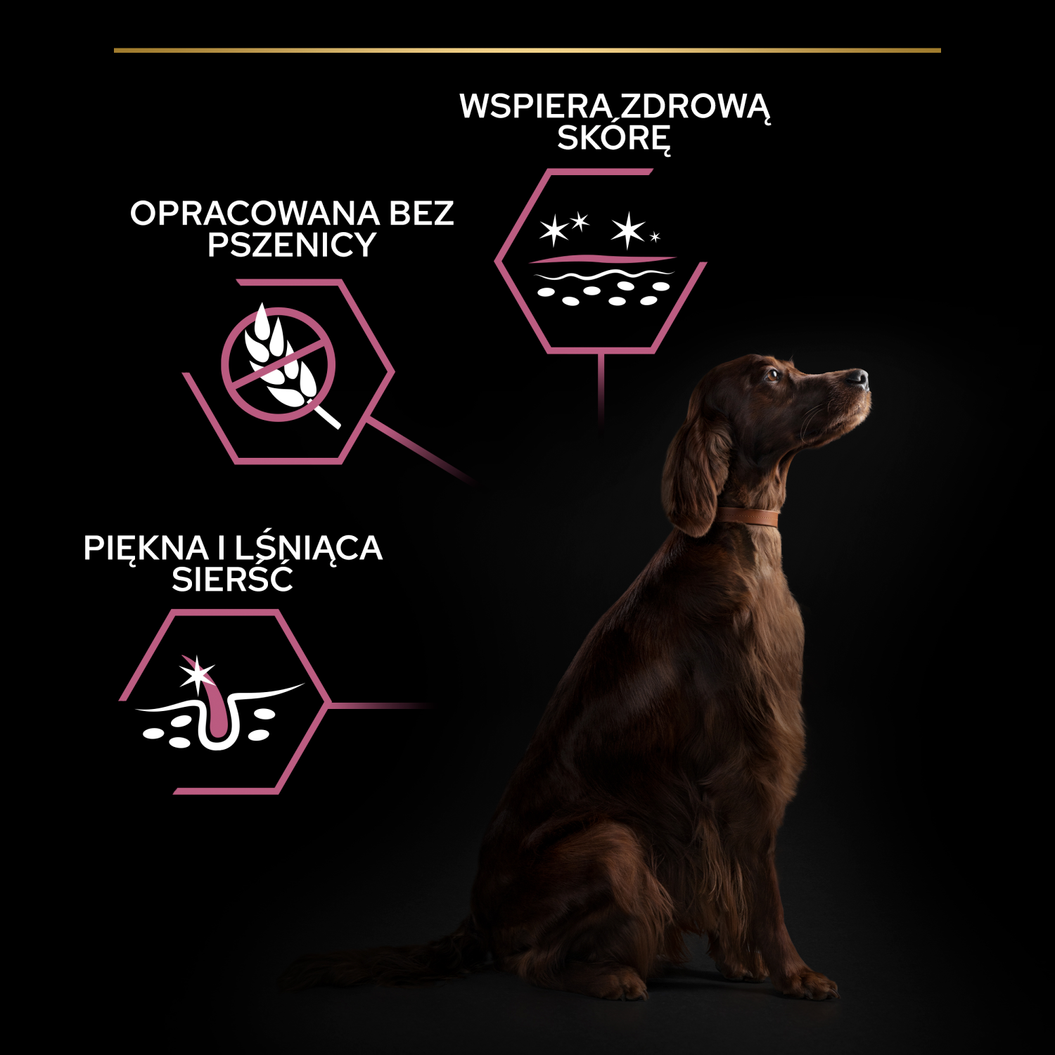 Purina Pro Plan Large Adult Athletic Optiderma Łosoś I Ryż 14kg - zdjęcie 3