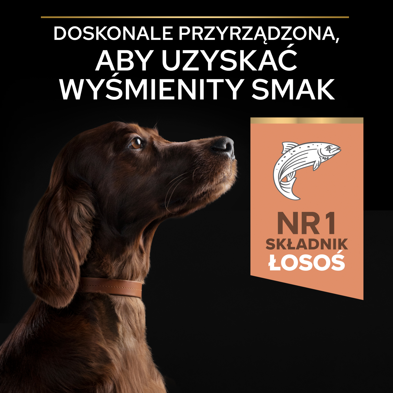 Purina Pro Plan Large Adult Athletic Optiderma Łosoś I Ryż 14kg - zdjęcie 5