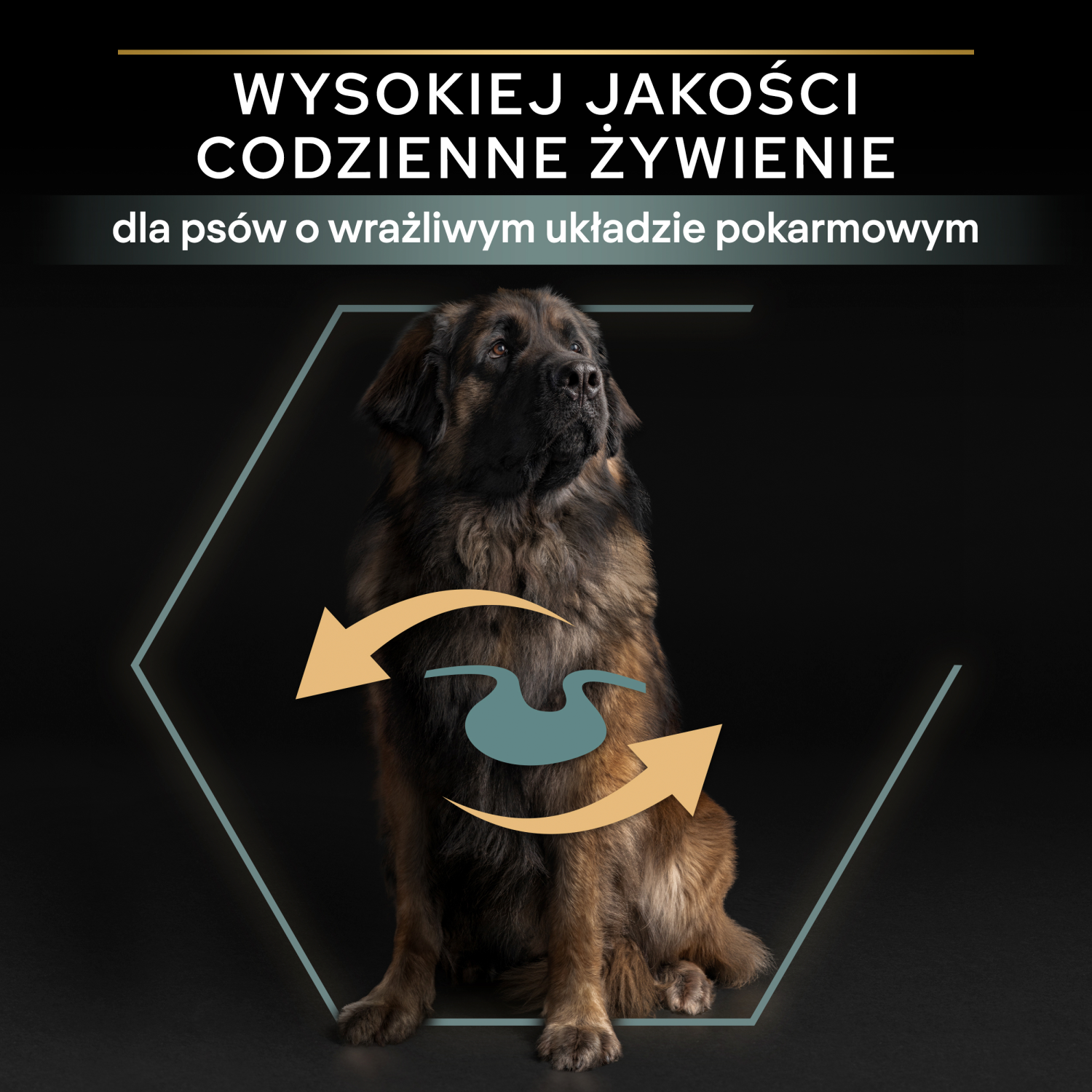 Purina Pro Plan Large Robust Optidigest Jagnięcina Z Ryżem 14kg - zdjęcie 2