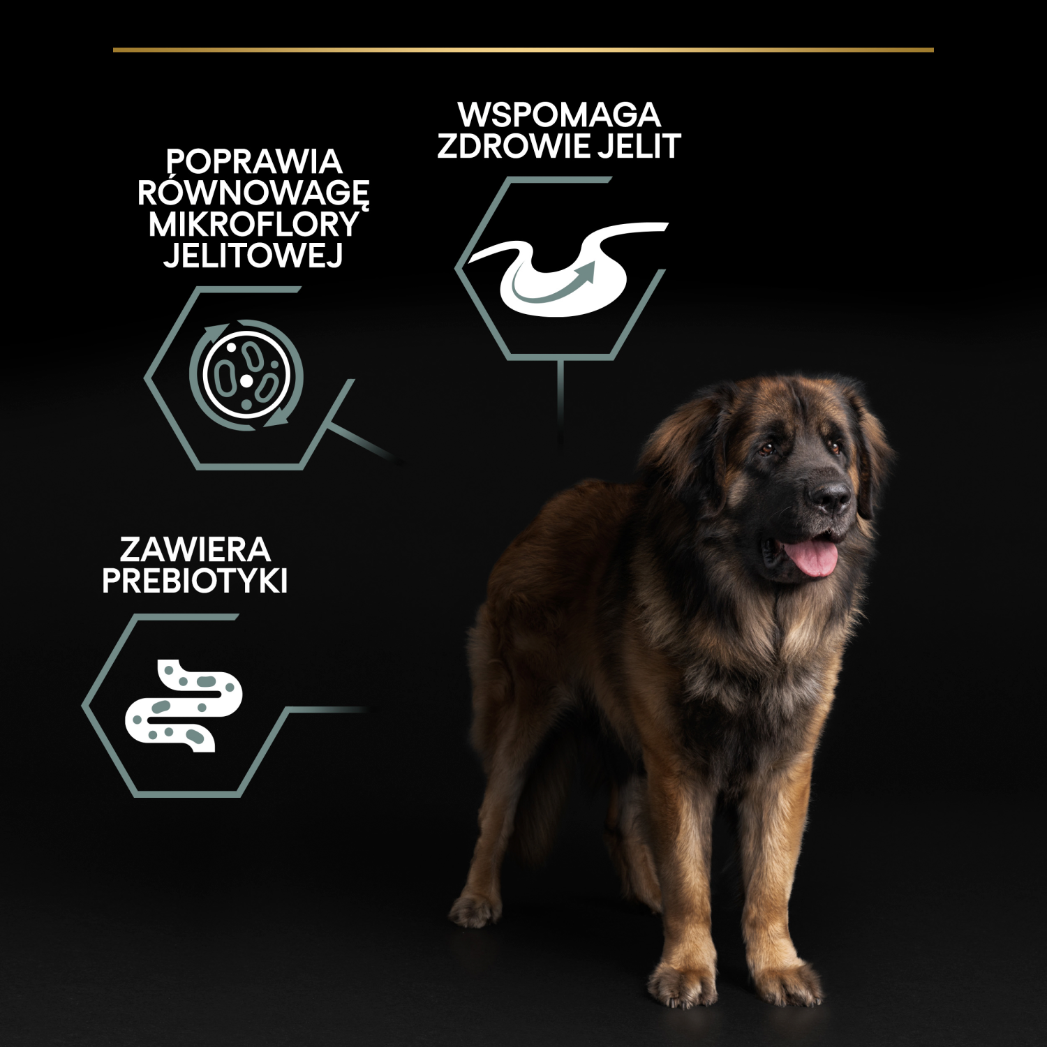 Purina Pro Plan Large Robust Optidigest Jagnięcina Z Ryżem 14kg - zdjęcie 3