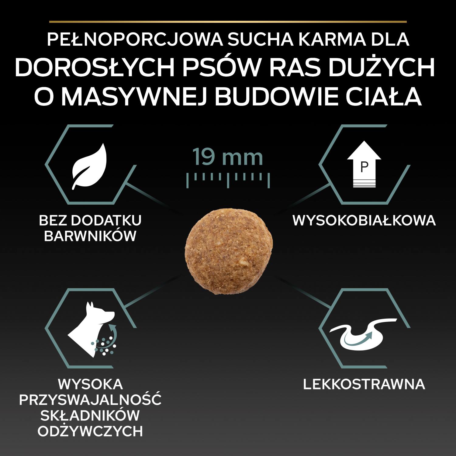 Purina Pro Plan Large Robust Optidigest Jagnięcina Z Ryżem 14kg - zdjęcie 4