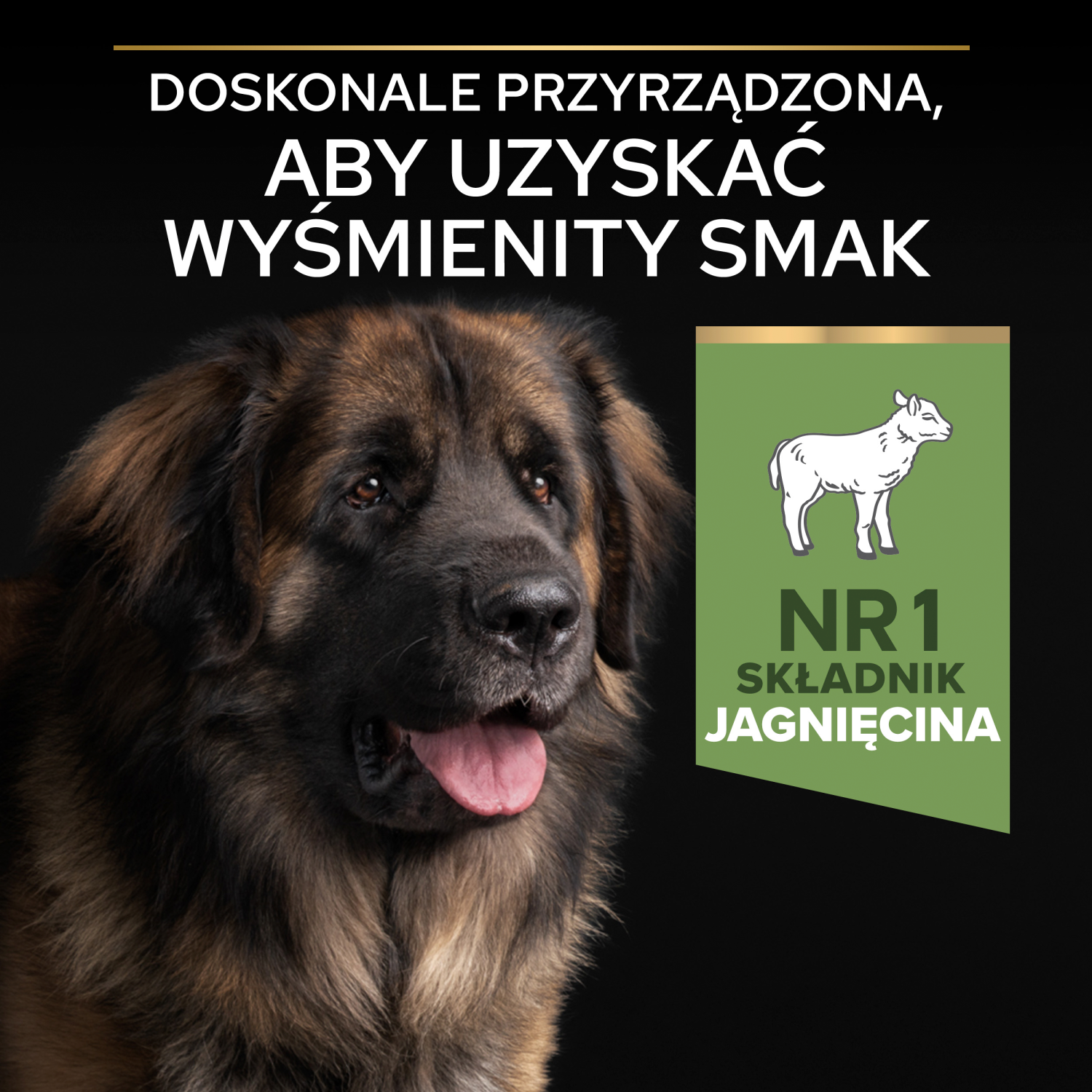 Purina Pro Plan Large Robust Optidigest Jagnięcina Z Ryżem 14kg - zdjęcie 5