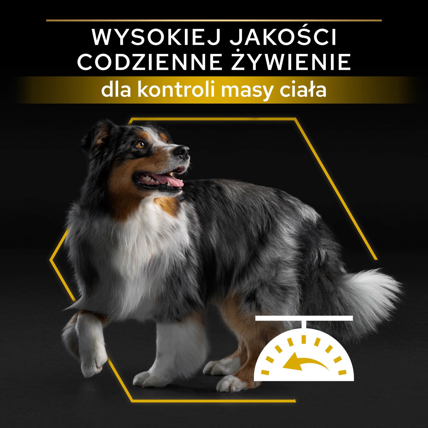 Purina Pro Plan Adult Light Optiweight Sterilised Kurczak I Ryż 14kg - zdjęcie 2