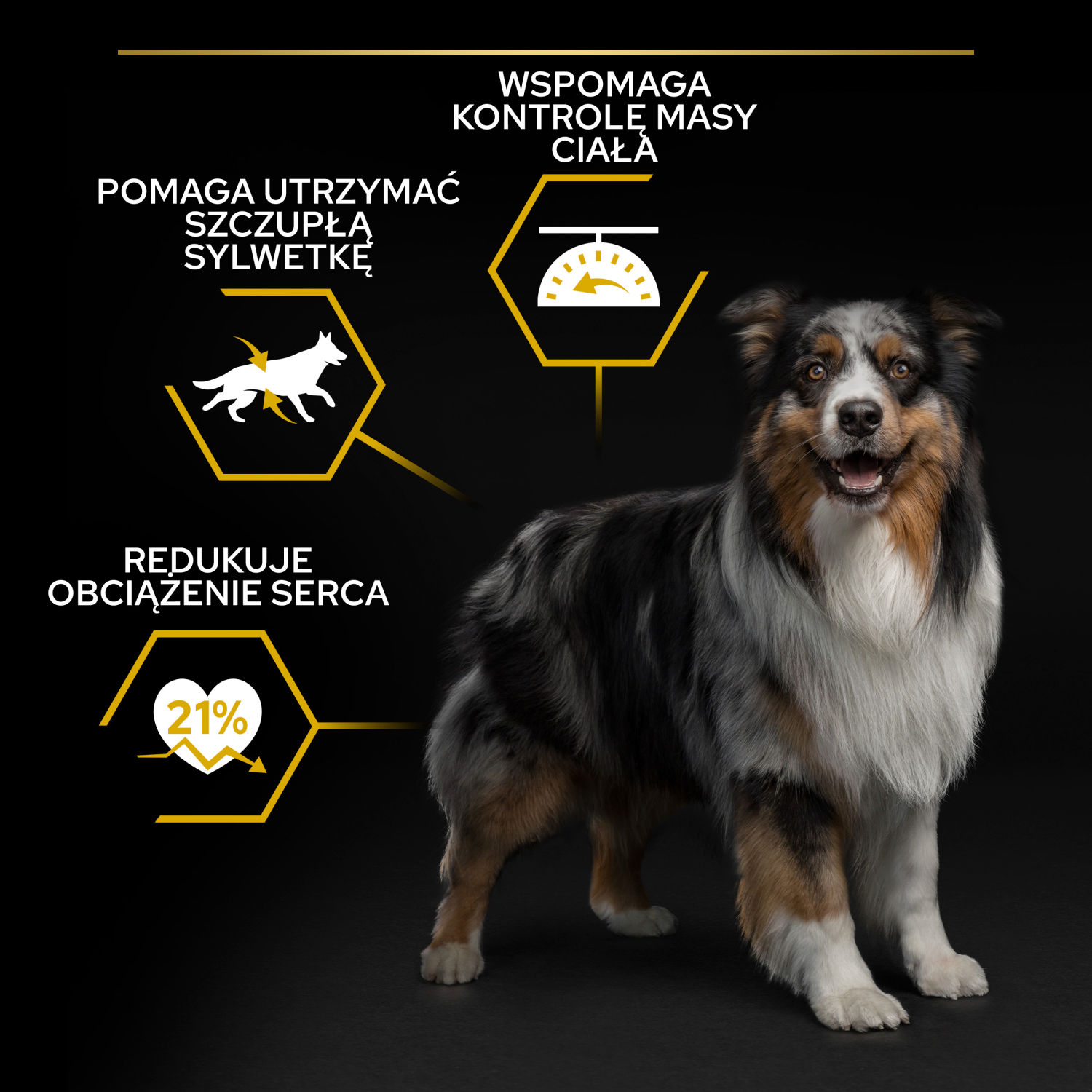 Purina Pro Plan Adult Light Optiweight Sterilised Kurczak I Ryż 14kg - zdjęcie 3