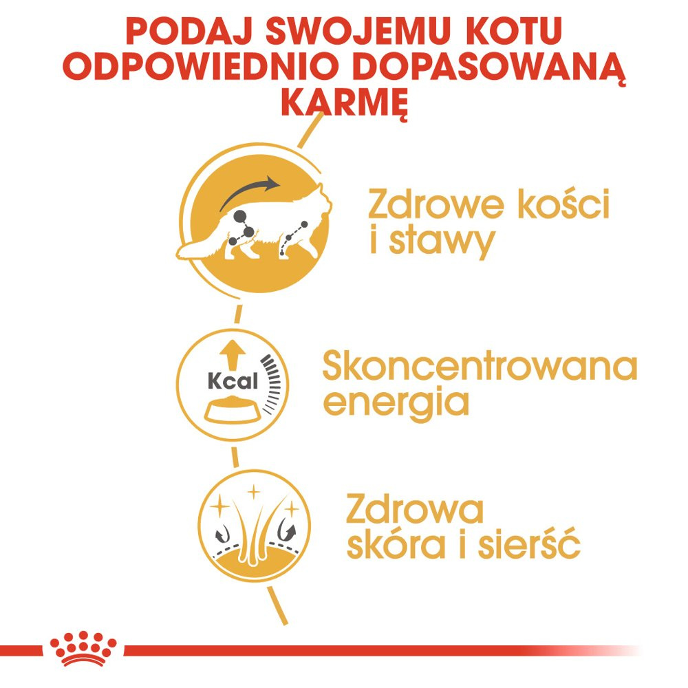ROYAL CANIN Maine Coon Adult 12x85g - zdjęcie 4