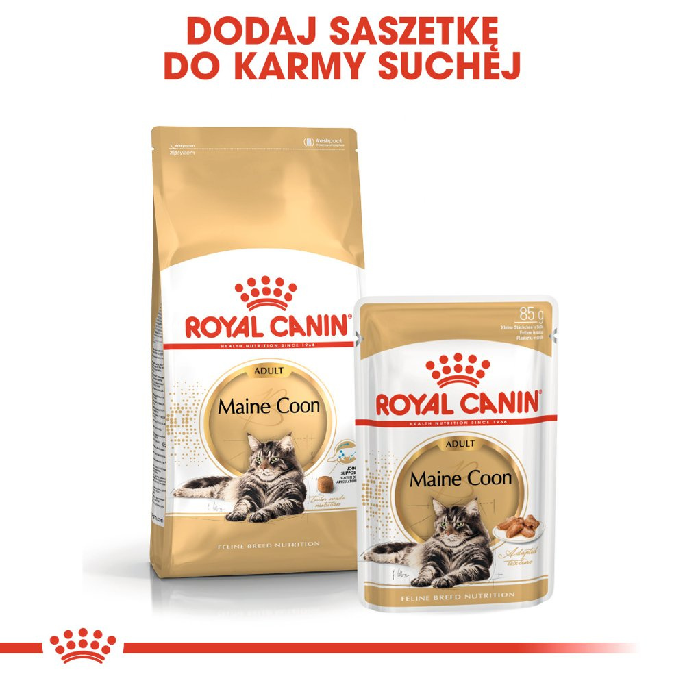 ROYAL CANIN Maine Coon Adult 12x85g - zdjęcie 7