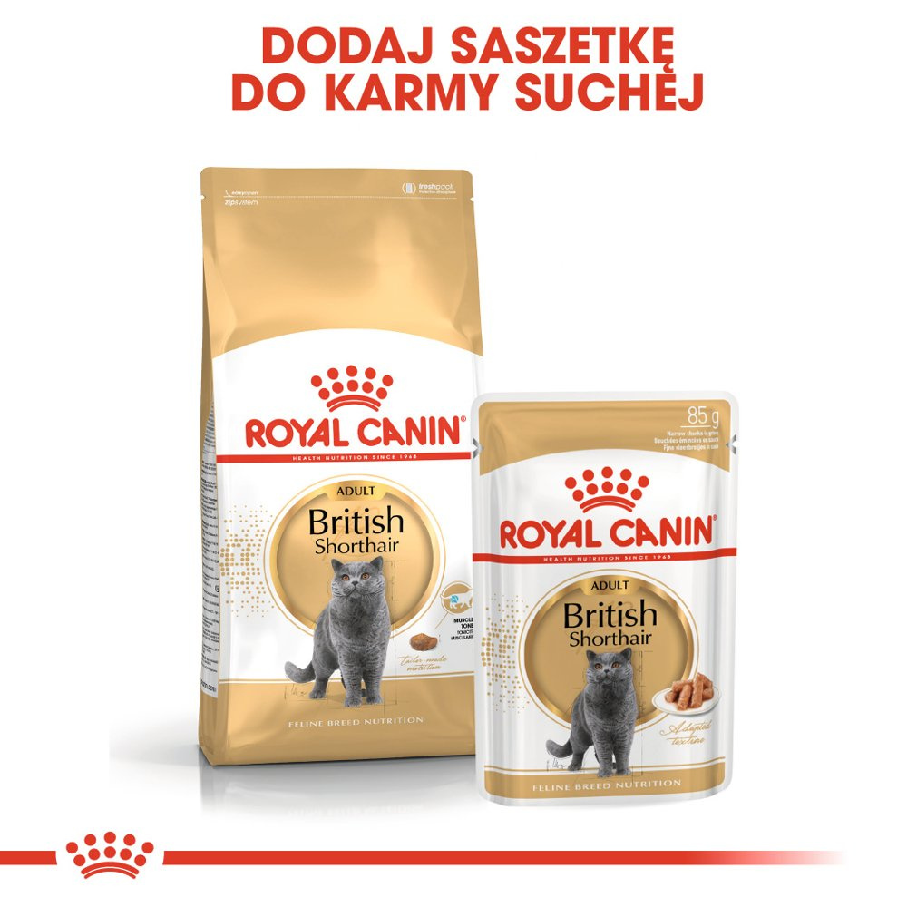 ROYAL CANIN British Shorthair Adult 12x85g - zdjęcie 6