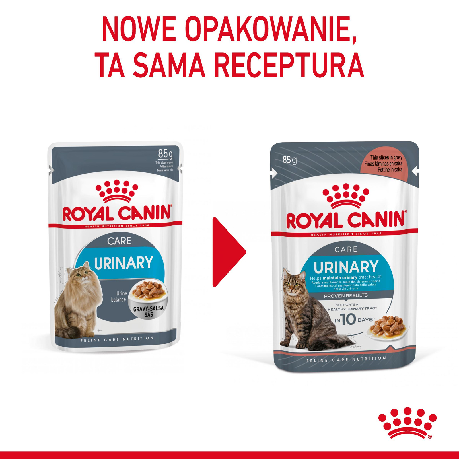 ROYAL CANIN Urinary Care 12x85g - zdjęcie 2
