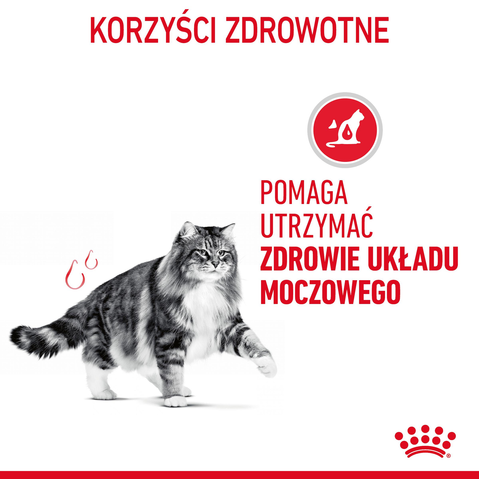 ROYAL CANIN Urinary Care 12x85g - zdjęcie 3