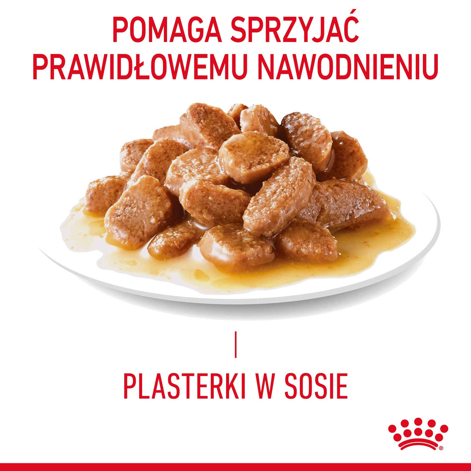 ROYAL CANIN Urinary Care 12x85g - zdjęcie 4