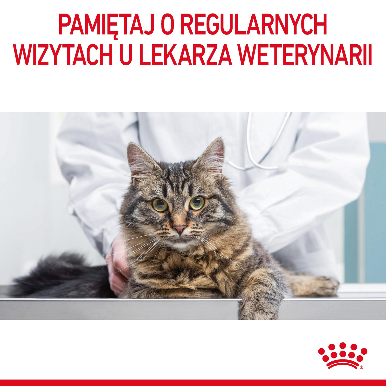 ROYAL CANIN Urinary Care 12x85g - zdjęcie 9