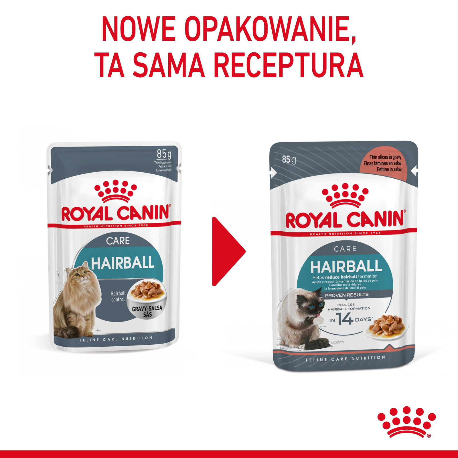 ROYAL CANIN Hairball Care 12x85g - zdjęcie 2