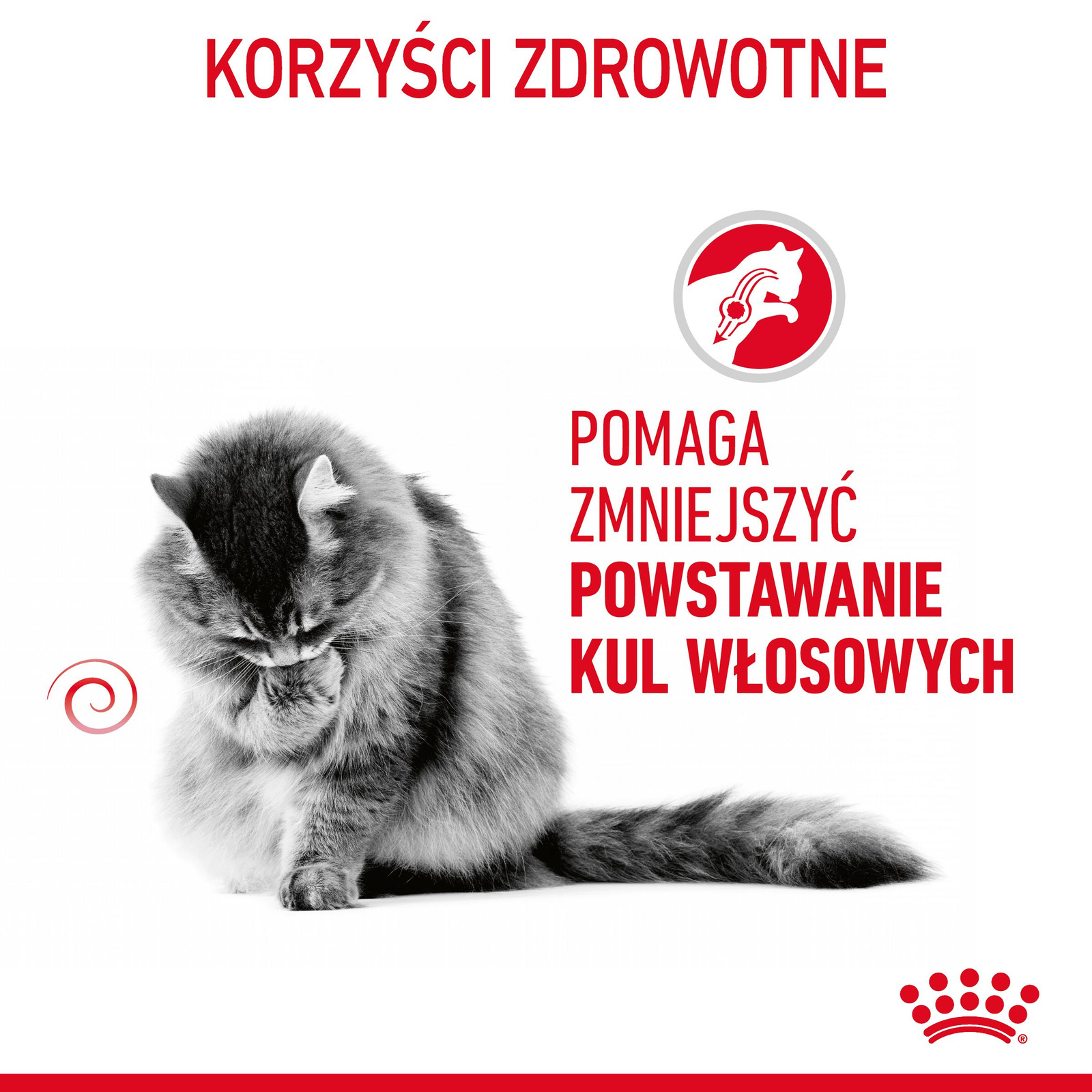 ROYAL CANIN Hairball Care 12x85g - zdjęcie 5