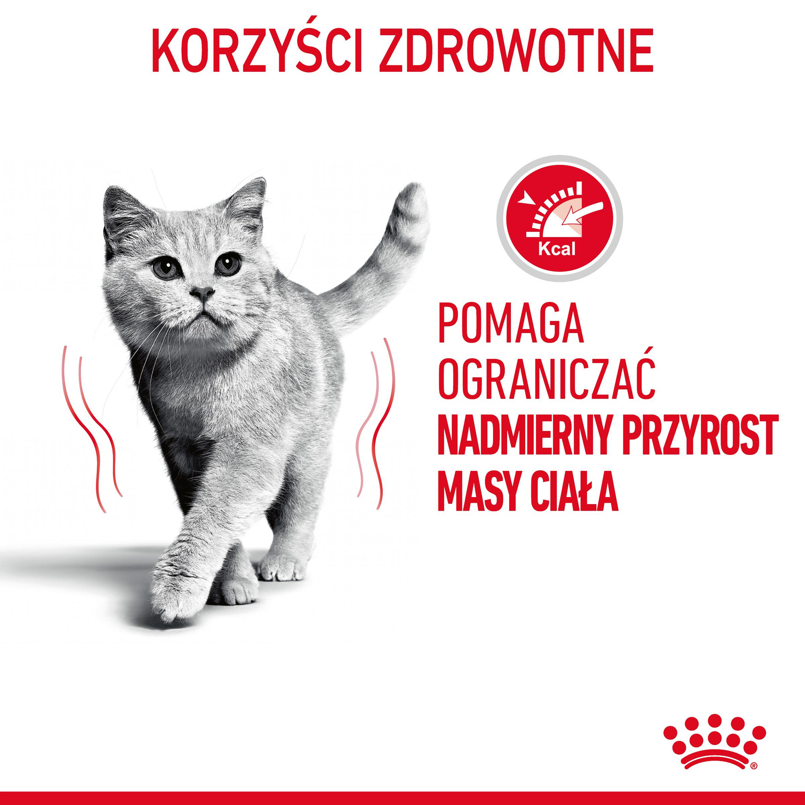 ROYAL CANIN Light Weight Care W Galaretce 12x85g - zdjęcie 2