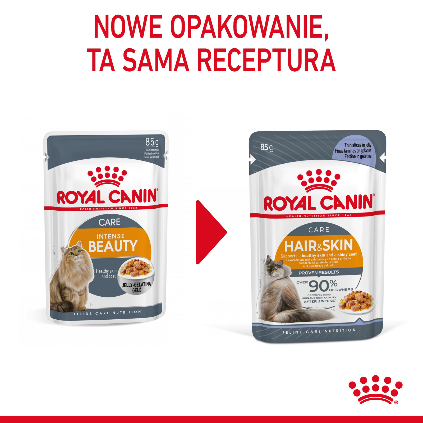 ROYAL CANIN Intense Beauty Gelee 12x85g - zdjęcie 2