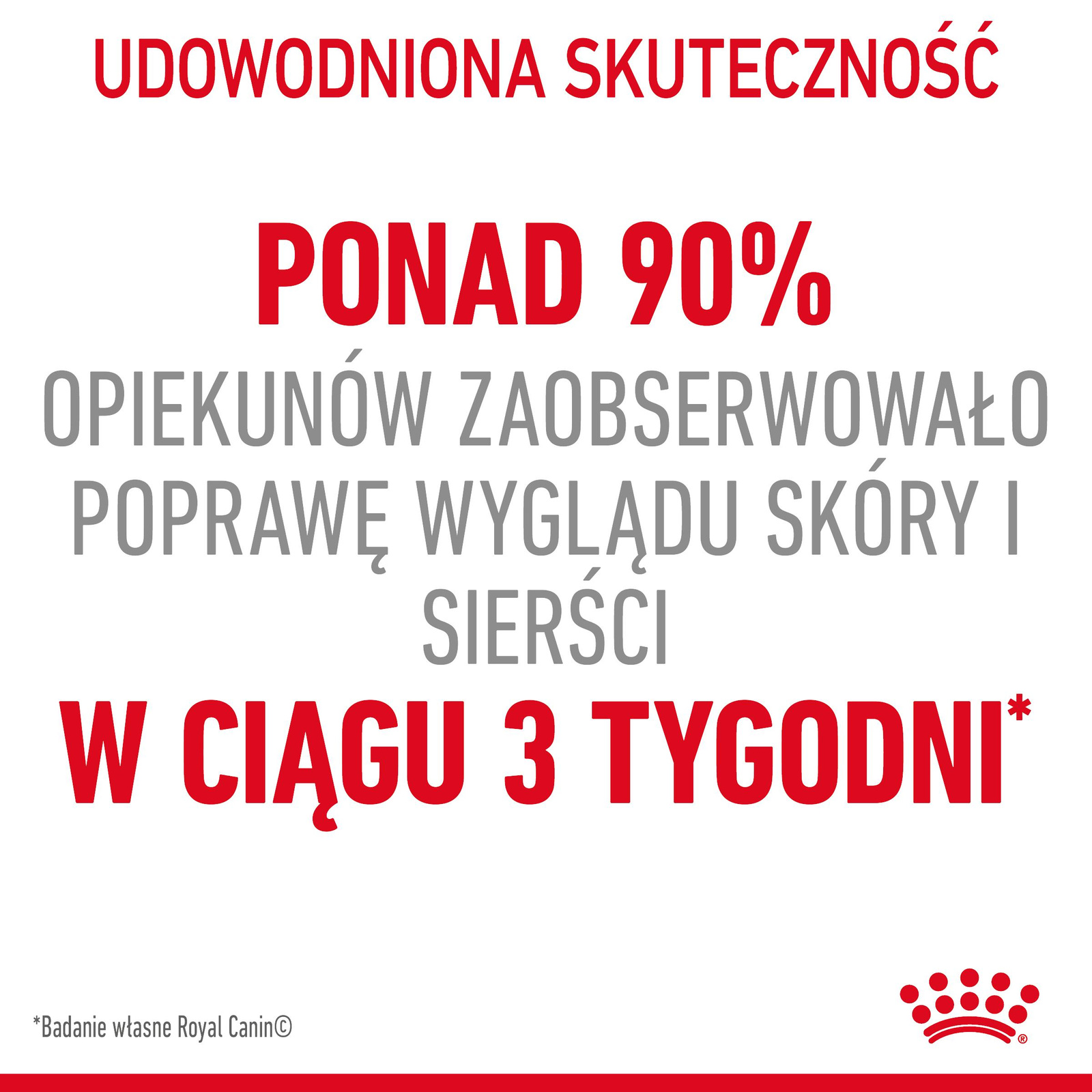 ROYAL CANIN Intense Beauty Gelee 12x85g - zdjęcie 5
