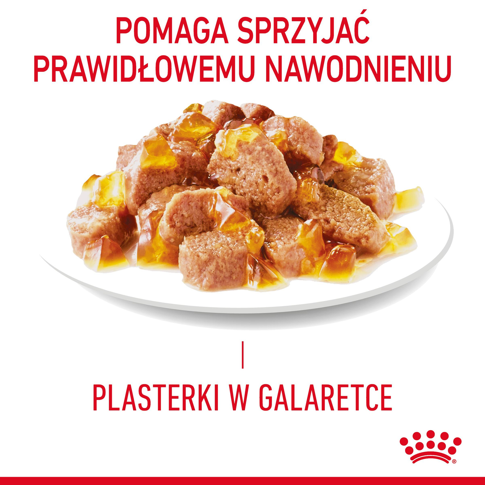 ROYAL CANIN Intense Beauty Gelee 12x85g - zdjęcie 8