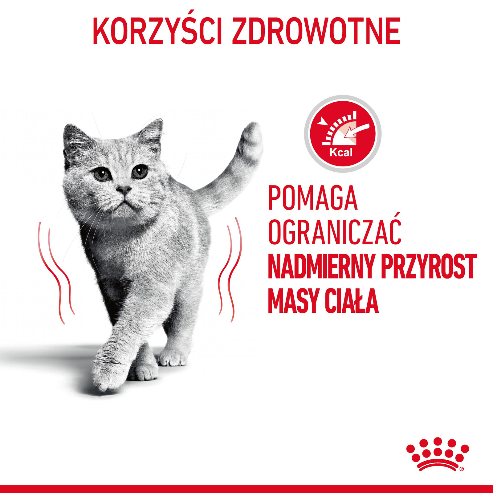 ROYAL CANIN Light Weight Care W Sosie 12x85g - zdjęcie 3