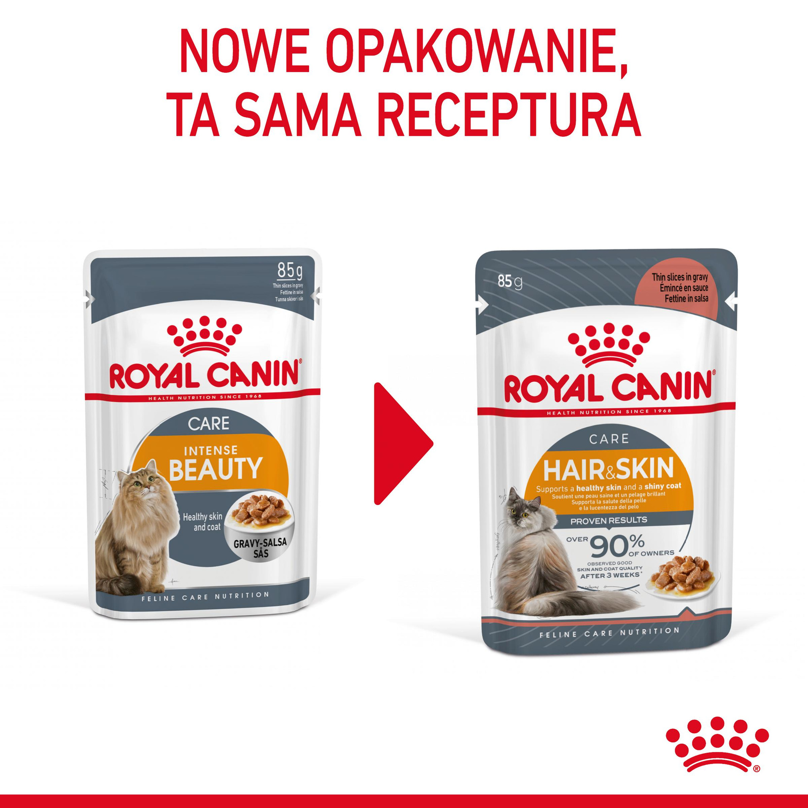 ROYAL CANIN Intense Beauty Gravy 12x85g - zdjęcie 2