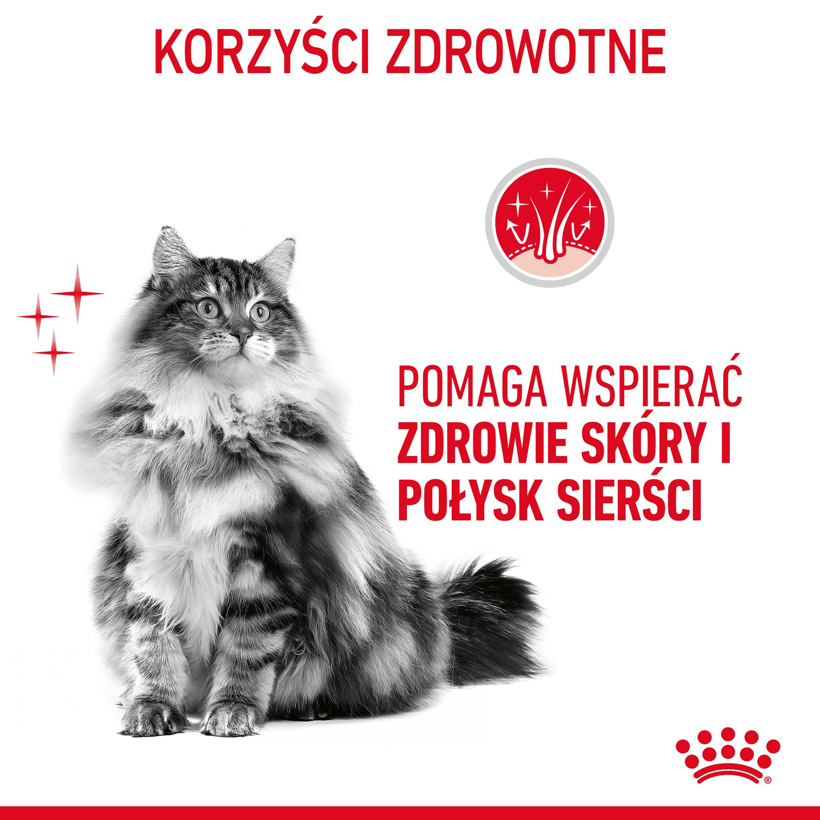 ROYAL CANIN Intense Beauty Gravy 12x85g - zdjęcie 7