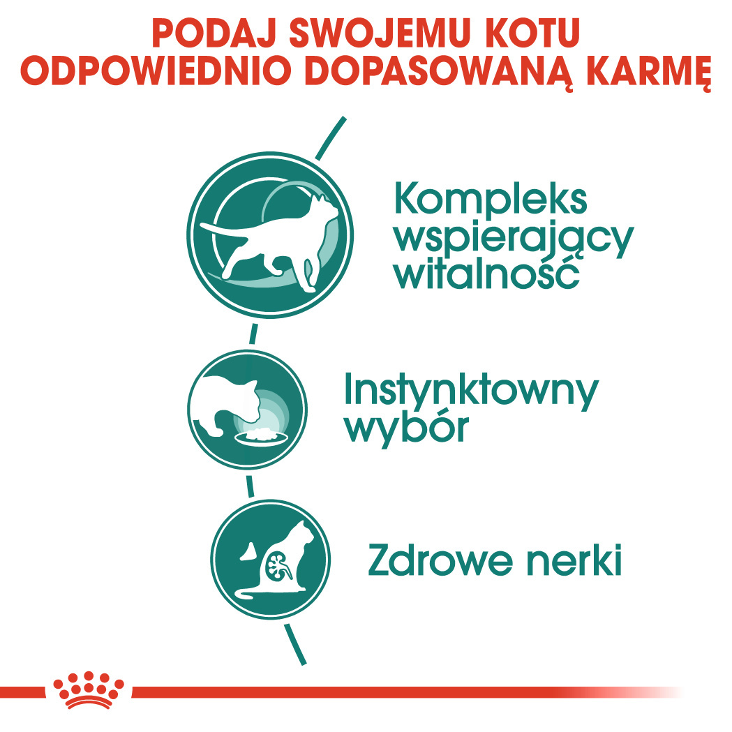 ROYAL CANIN Instinctive +7 12x85g - zdjęcie 4