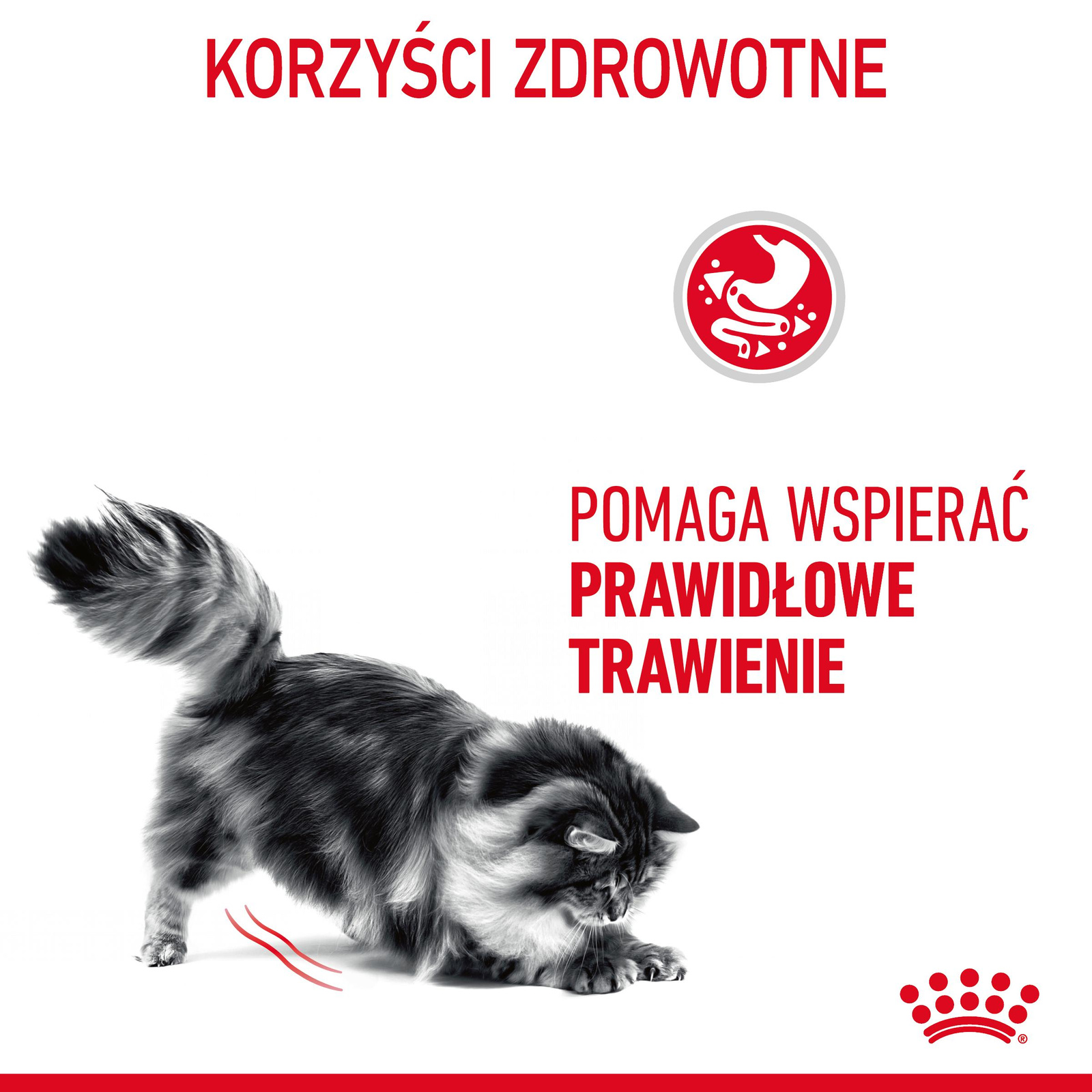ROYAL CANIN Digest Sensitive 12x85g - zdjęcie 6