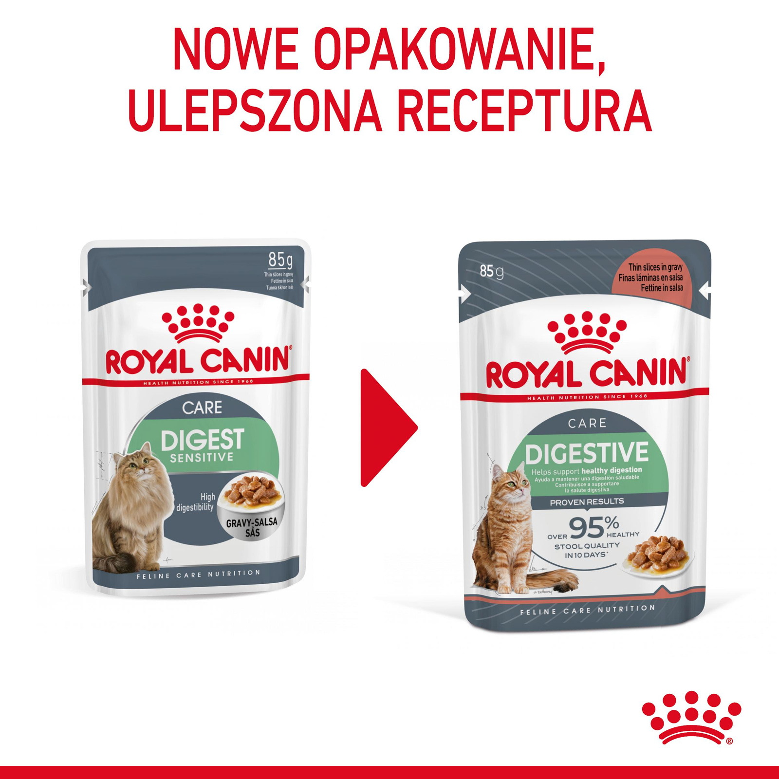 ROYAL CANIN Digest Sensitive 12x85g - zdjęcie 9