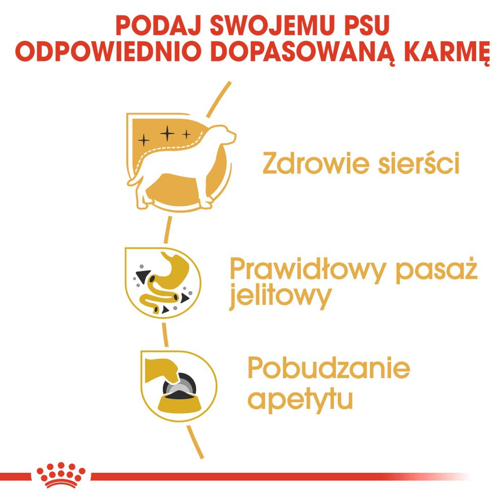 ROYAL CANIN Chihuahua Adult 12x85g - zdjęcie 5