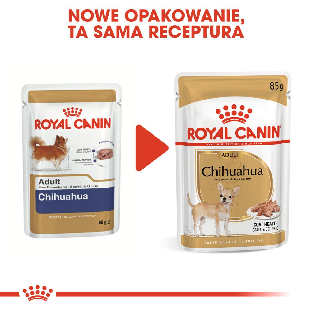 ROYAL CANIN Chihuahua Adult 12x85g - zdjęcie 8