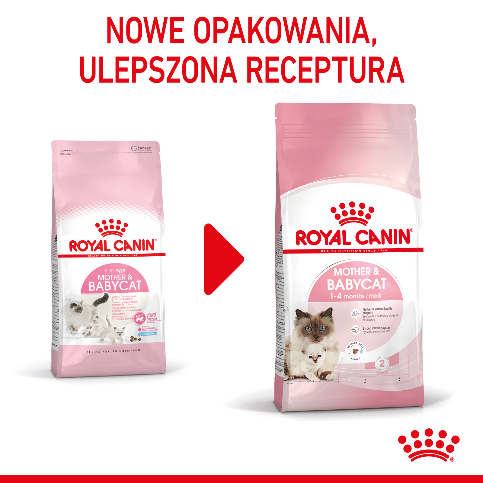 ROYAL CANIN Mother & Babycat 2kg - zdjęcie 2