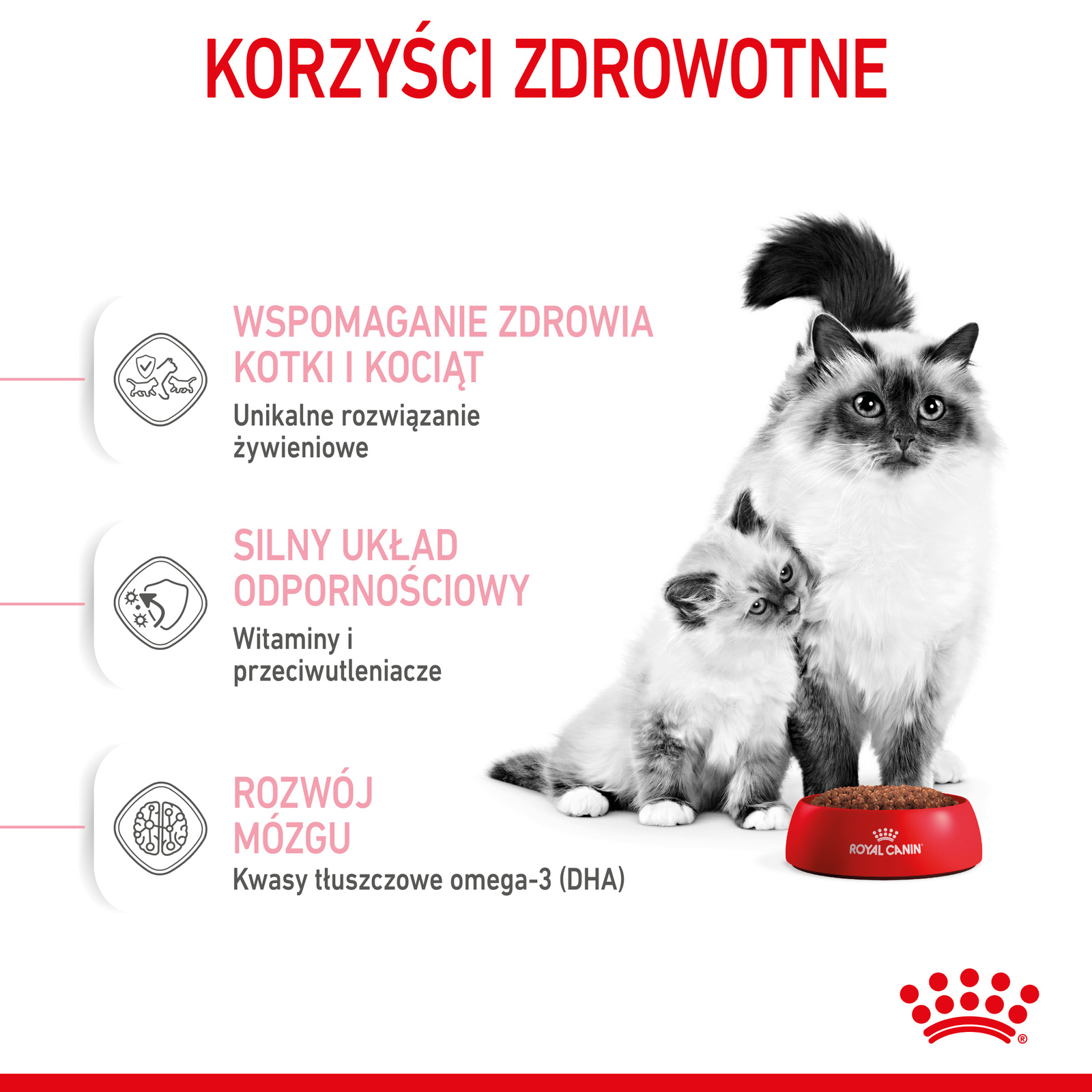 ROYAL CANIN Mother & Babycat 2kg - zdjęcie 4