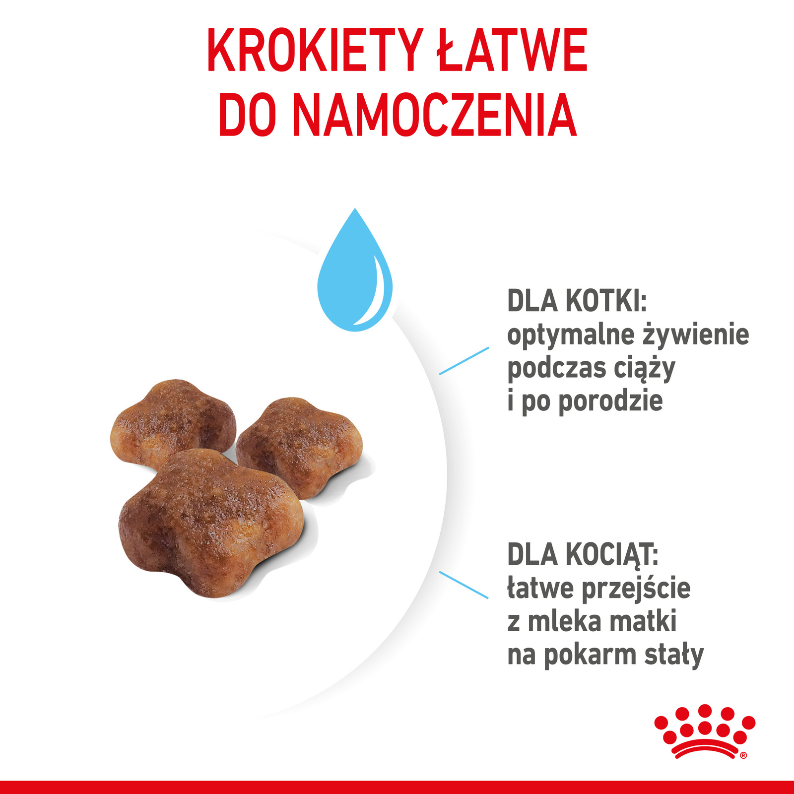 ROYAL CANIN Mother & Babycat 2kg - zdjęcie 5