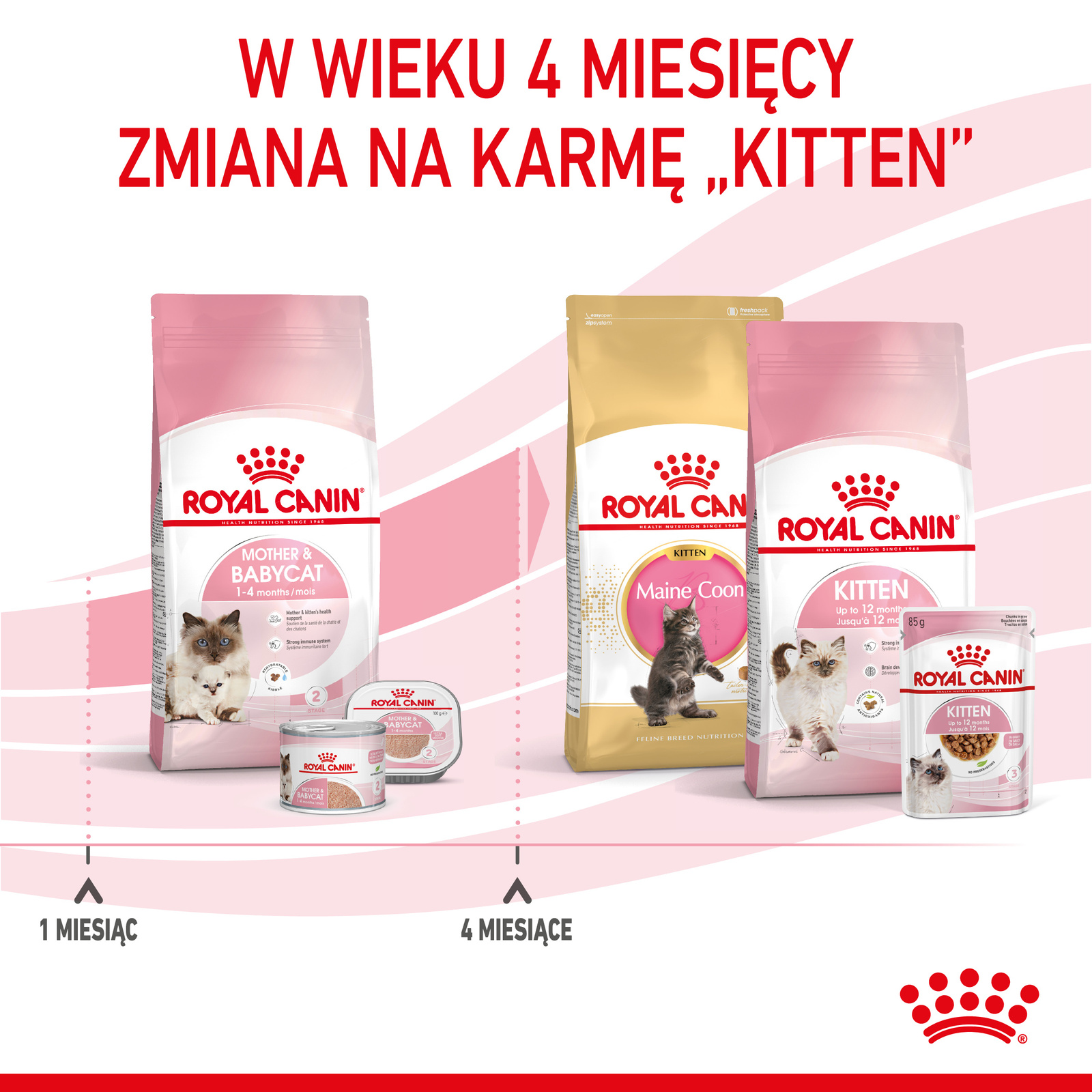 ROYAL CANIN Mother & Babycat 2kg - zdjęcie 6